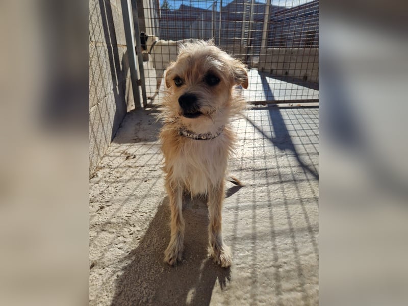 FLORI auf Pflege in D, 47574 Goch/NRW