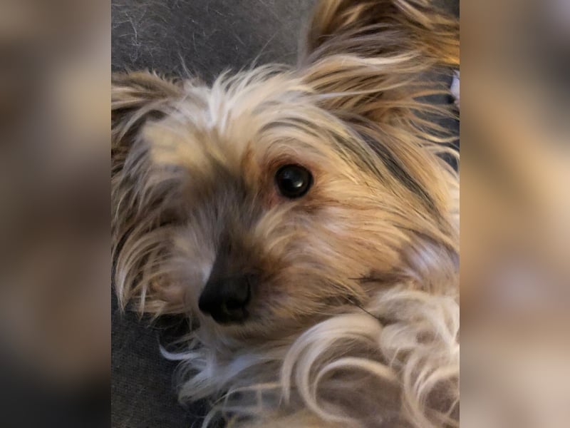 CHARLIE will geliebt werden