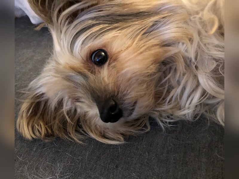 CHARLIE will geliebt werden