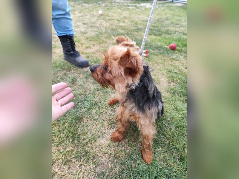 BARBI - wer schenkt mir glückliche Stunden voller Liebe und Geborgenheit?