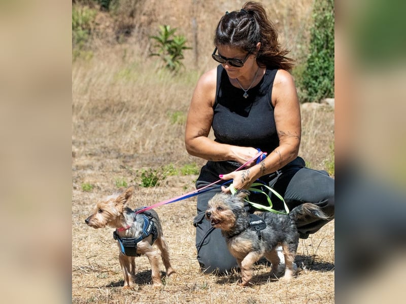 Nini und Neco - die Unzertrennlichen