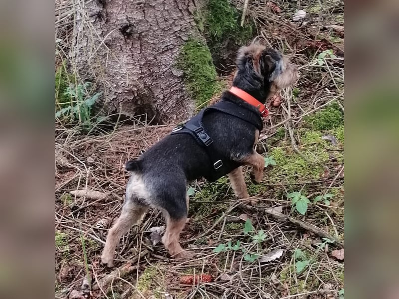 LOTTI sucht eine neue Familie