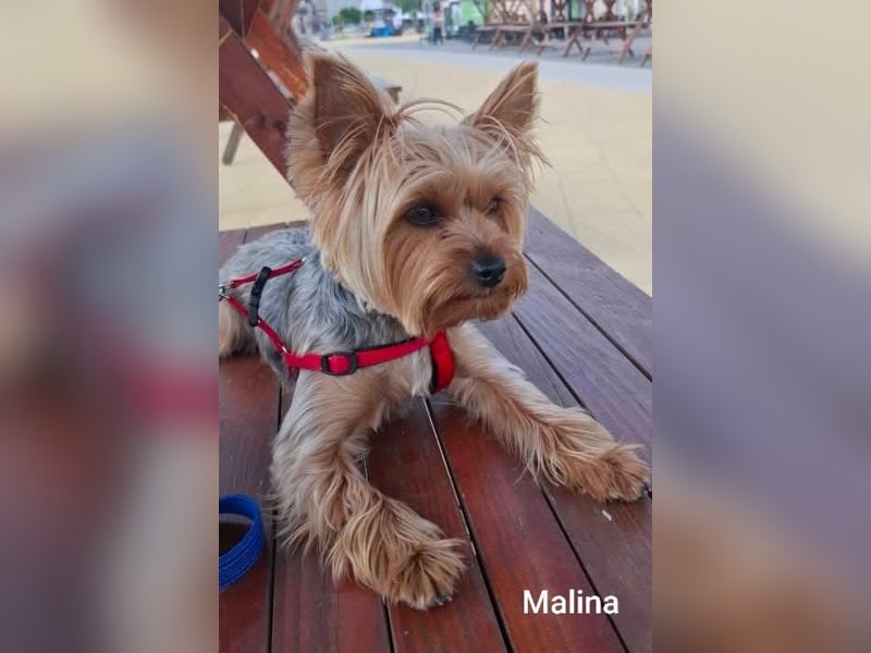 Engelchen und liebenswertes Teufelchen