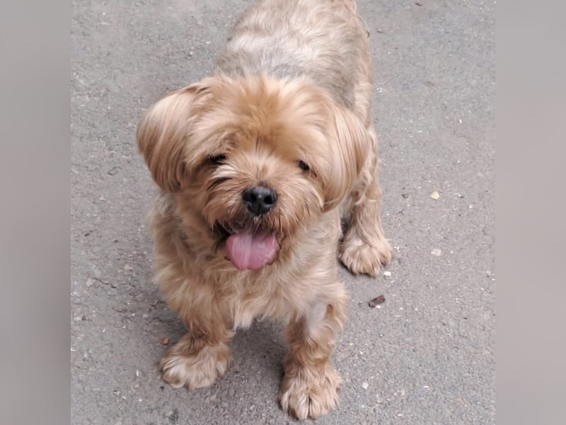 CHARLIE-HATTE EIN ZUHAUSE