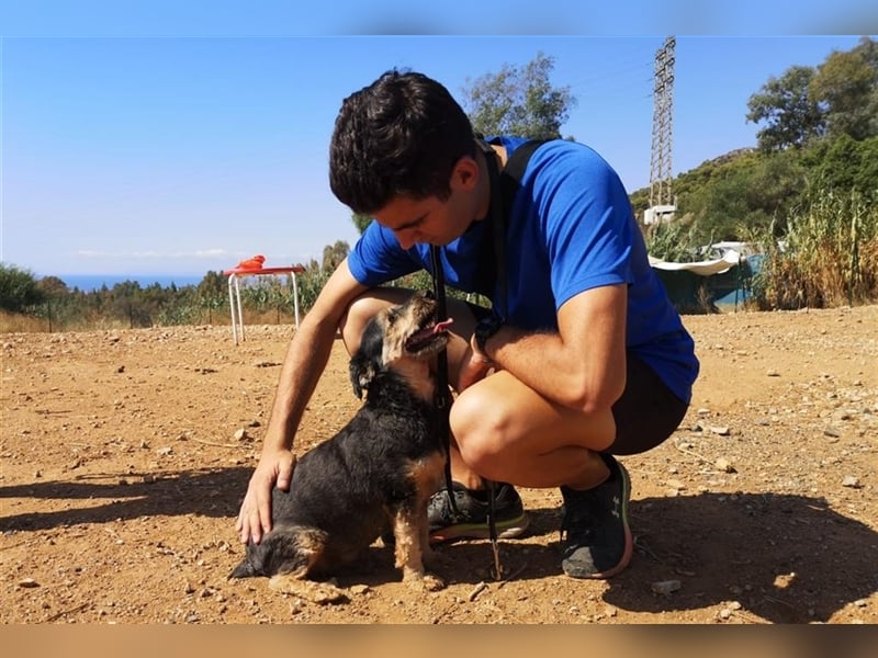 Lucky (Spanien) -  Pechvogel sucht zweite Chance