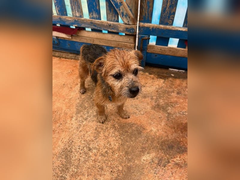Micky ist ein Traumjunge und liebt das Leben