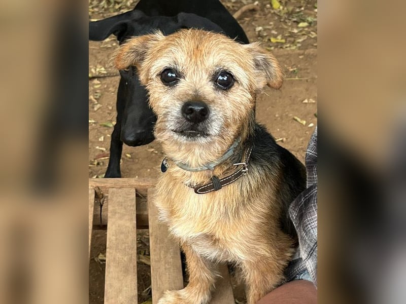 Micky ist ein Traumjunge und liebt das Leben