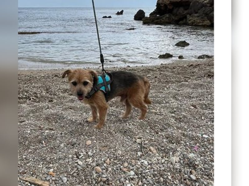 Micky ist ein Traumjunge und liebt das Leben