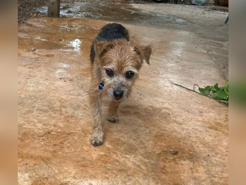 Micky ist ein Traumjunge und liebt das Leben