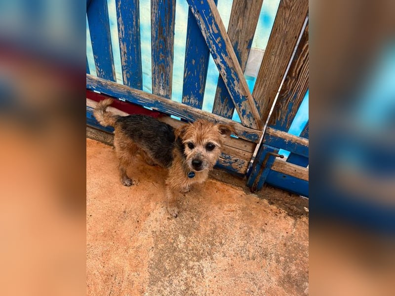 Micky ist ein Traumjunge und liebt das Leben