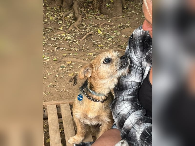 Micky ist ein Traumjunge und liebt das Leben