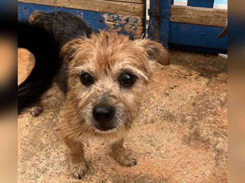 Micky ist ein Traumjunge und liebt das Leben