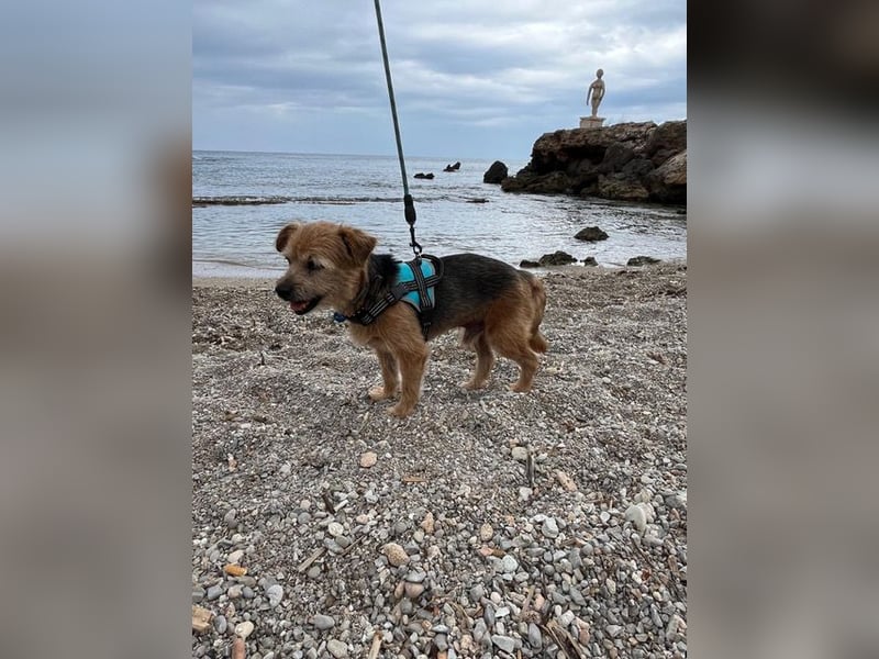 Micky ist ein Traumjunge und liebt das Leben