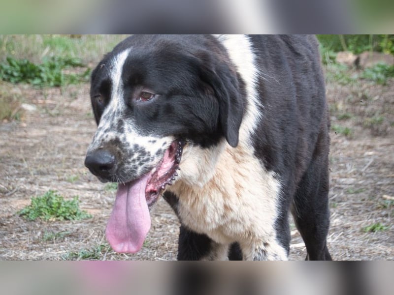 Devi – Stärke mit Sanftmut