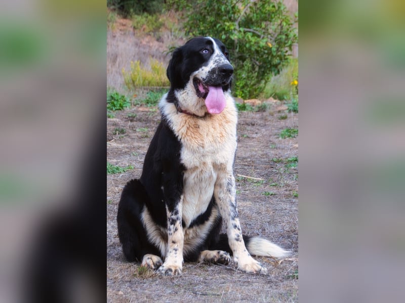 Devi – Stärke mit Sanftmut Devi – Stärke mit Sanftmut