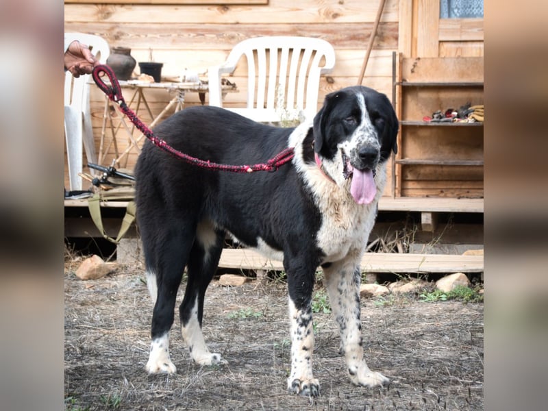 Devi – Stärke mit Sanftmut Devi – Stärke mit Sanftmut