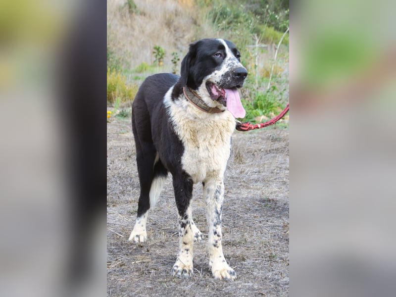 Devi – Stärke mit Sanftmut Devi – Stärke mit Sanftmut