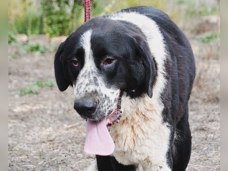 Devi – Stärke mit Sanftmut