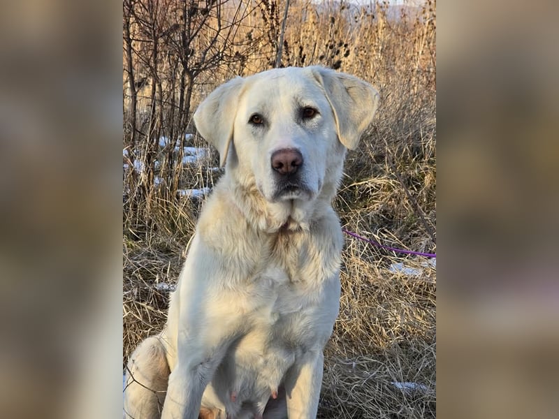 Aura, Mutter von Tommy und  Timo, zugänglich und respektvoll