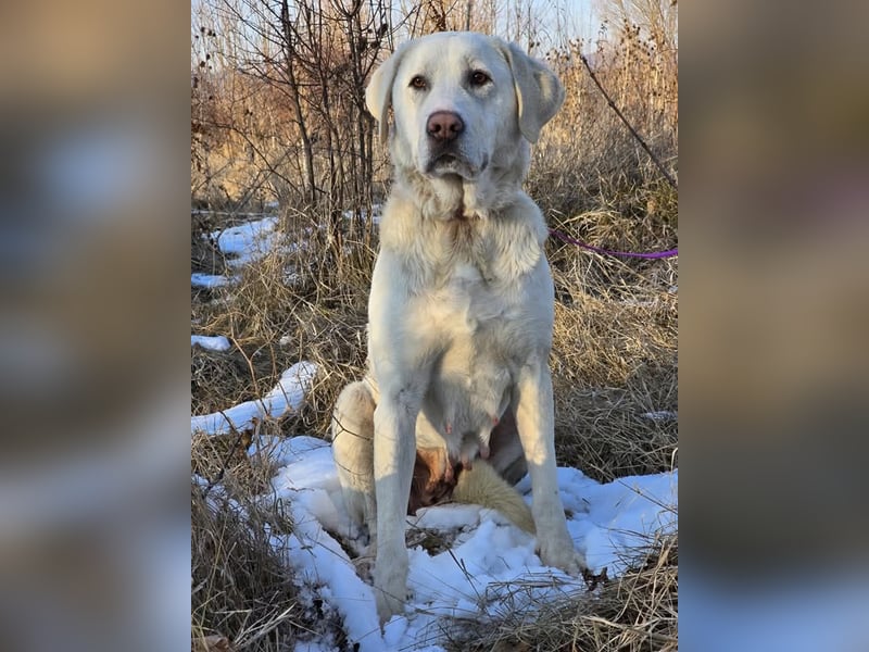 Aura, Mutter von Tommy und  Timo, zugänglich und respektvoll