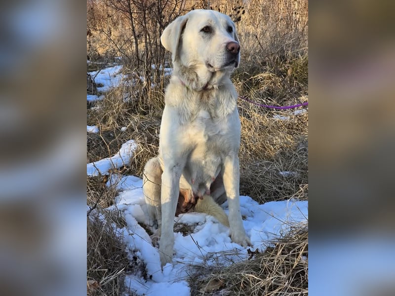Aura, Mutter von Tommy und  Timo, zugänglich und respektvoll