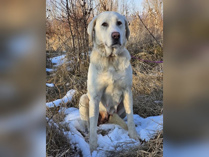 Aura, Mutter von Tommy und  Timo, zugänglich und respektvoll