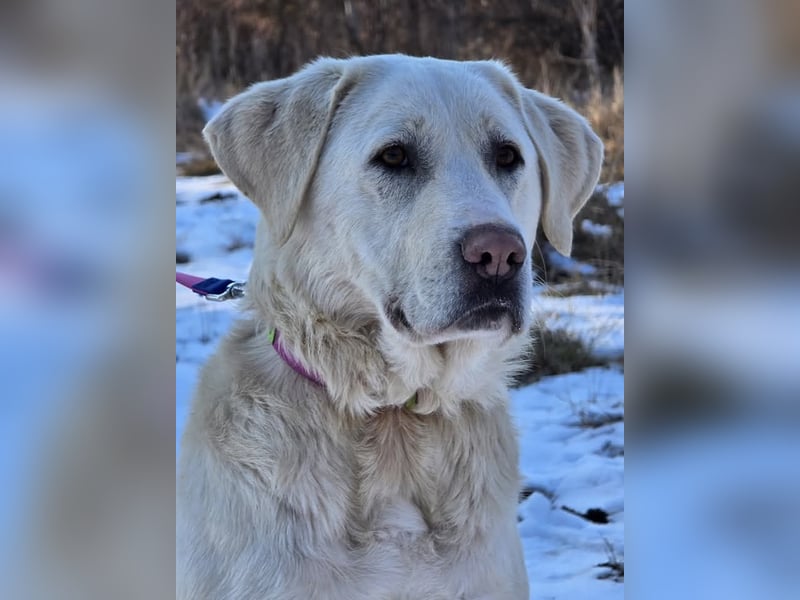 Aura, Mutter von Tommy und  Timo, zugänglich und respektvoll