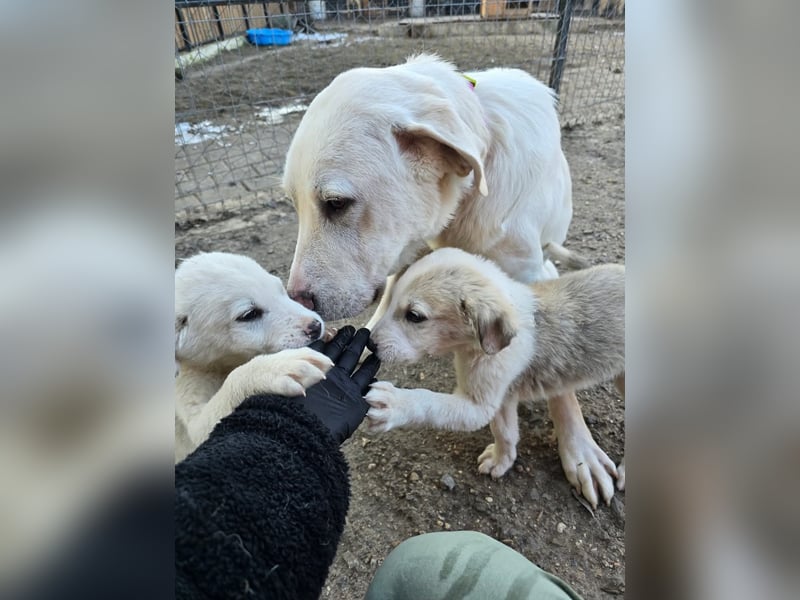 Aura, Mutter von Tommy und  Timo, zugänglich und respektvoll