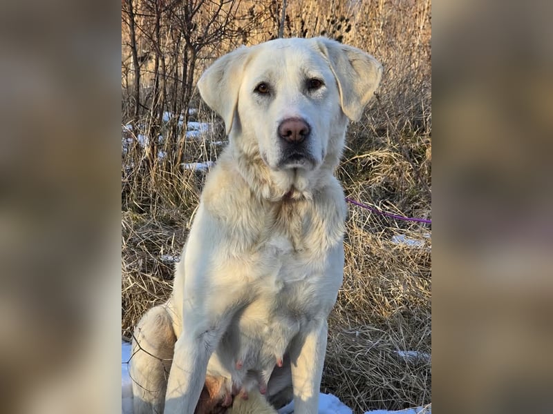 Aura, Mutter von Tommy und  Timo, zugänglich und respektvoll