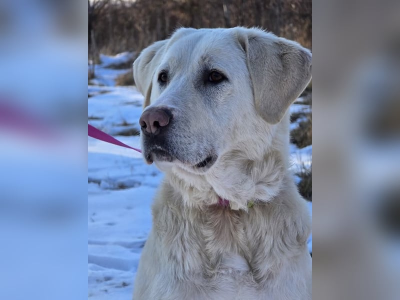 Aura, Mutter von Tommy und  Timo, zugänglich und respektvoll