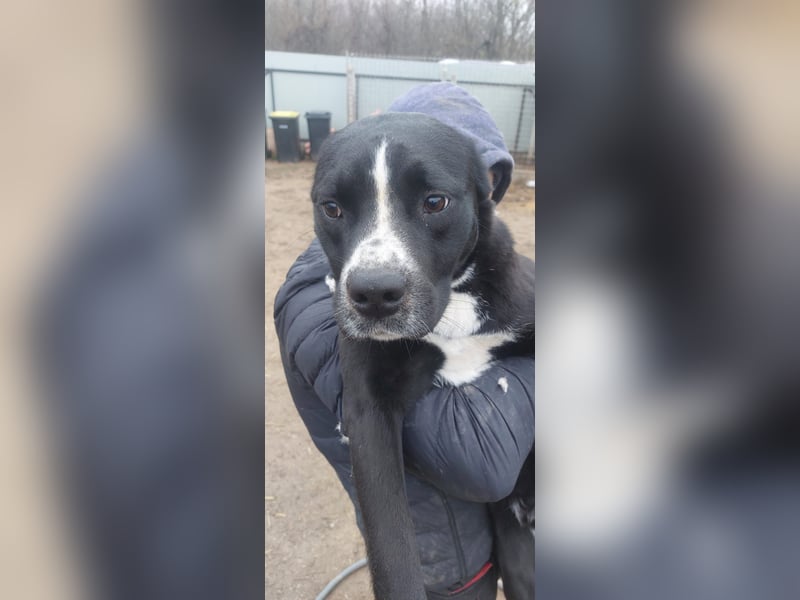 Graf Poldi wartet auf sein Happy End