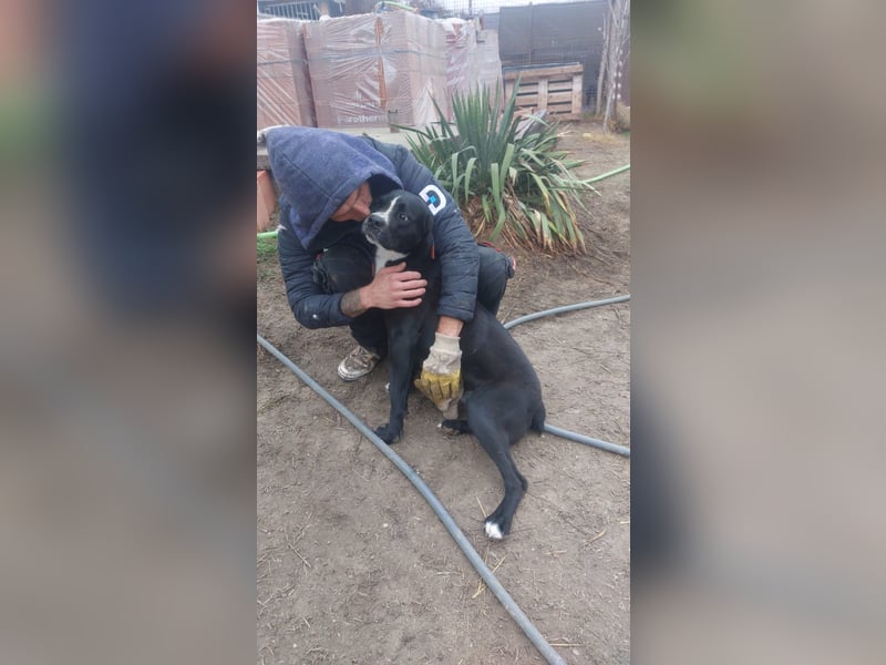 Graf Poldi sucht seine Menschen