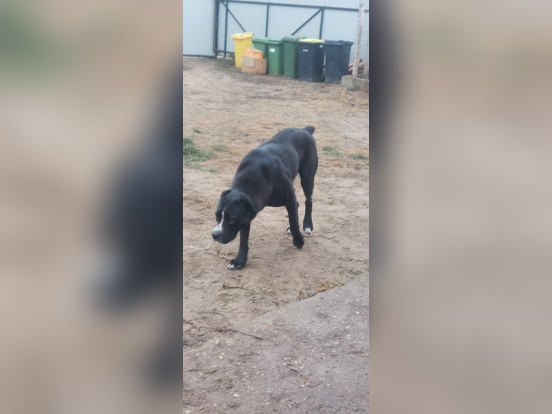 Graf Poldi sucht seine Menschen