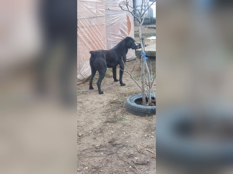 Graf Poldi wartet auf sein Happy End