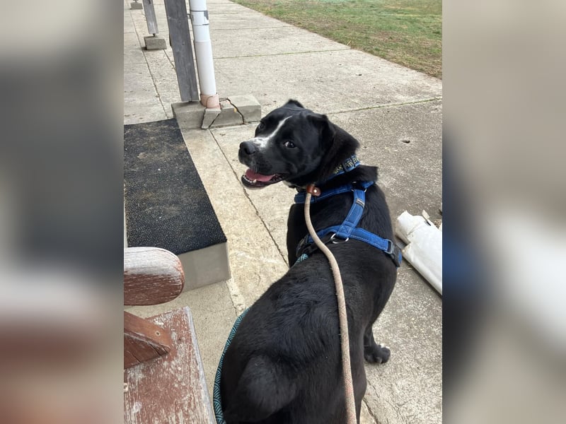 Graf Poldi sucht seine Menschen