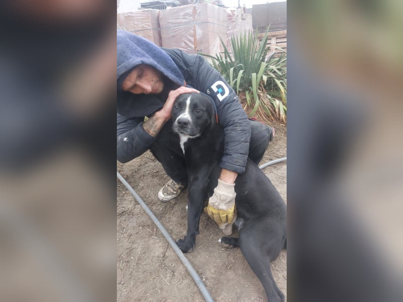 Graf Poldi sucht seine Menschen