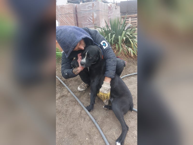 Graf Poldi sucht seine Menschen