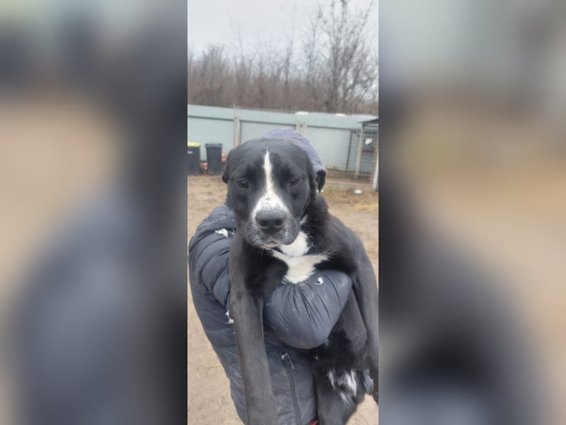 Graf Poldi wartet auf sein Happy End