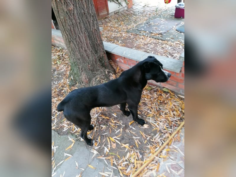 Graf Poldi wartet auf sein Happy End