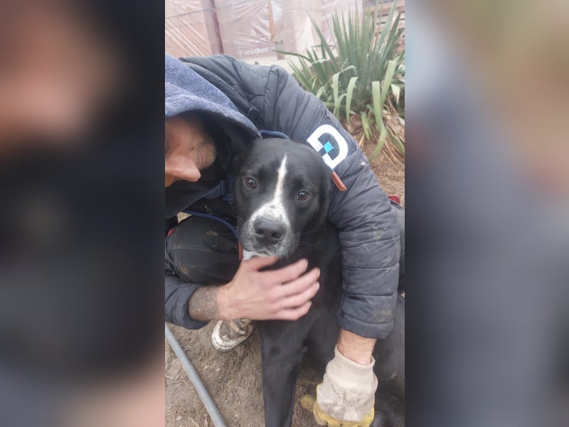 Graf Poldi wartet auf sein Happy End