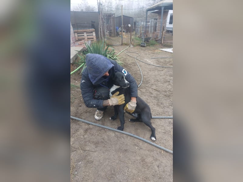Graf Poldi wartet auf sein Happy End