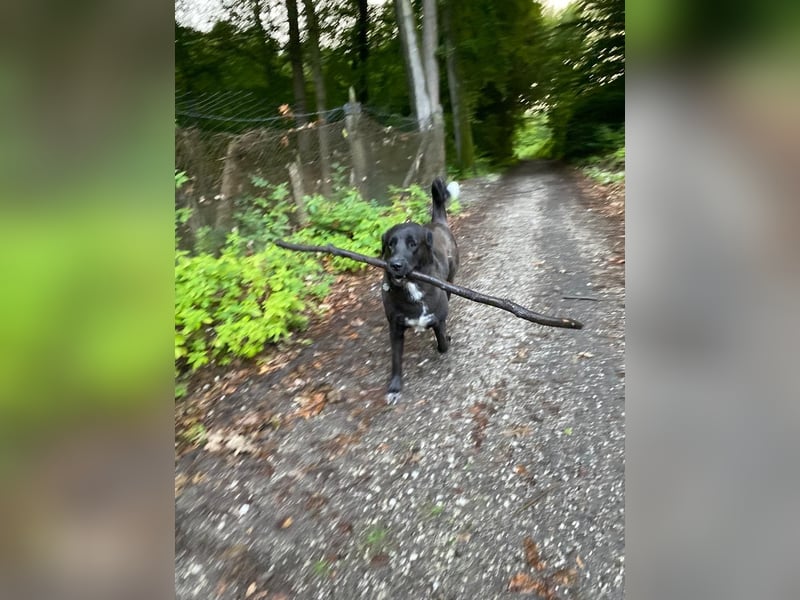 Wir suchen ein neues Zuhause