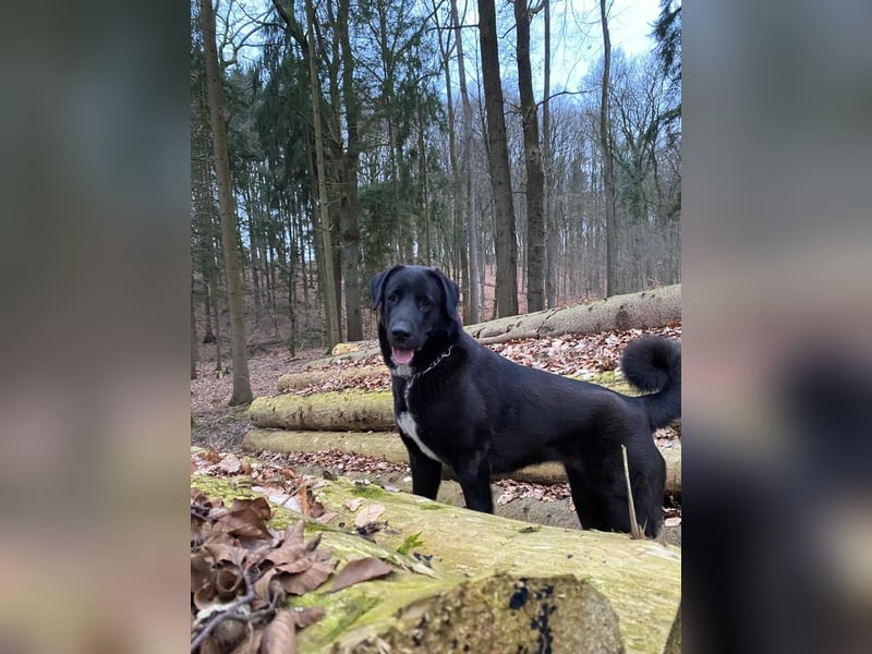 Wir suchen ein neues Zuhause