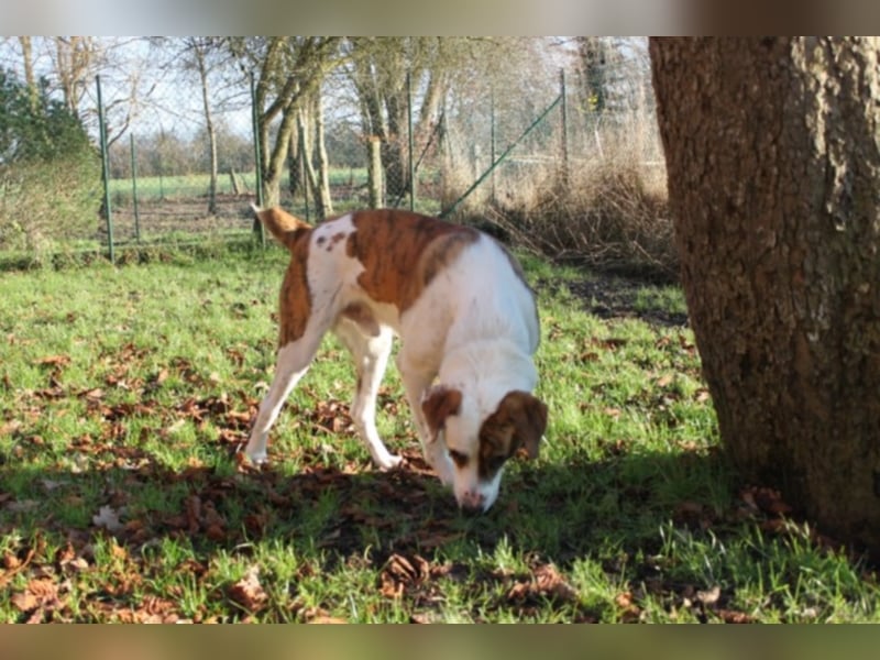 KOBI - agiler Jungspund