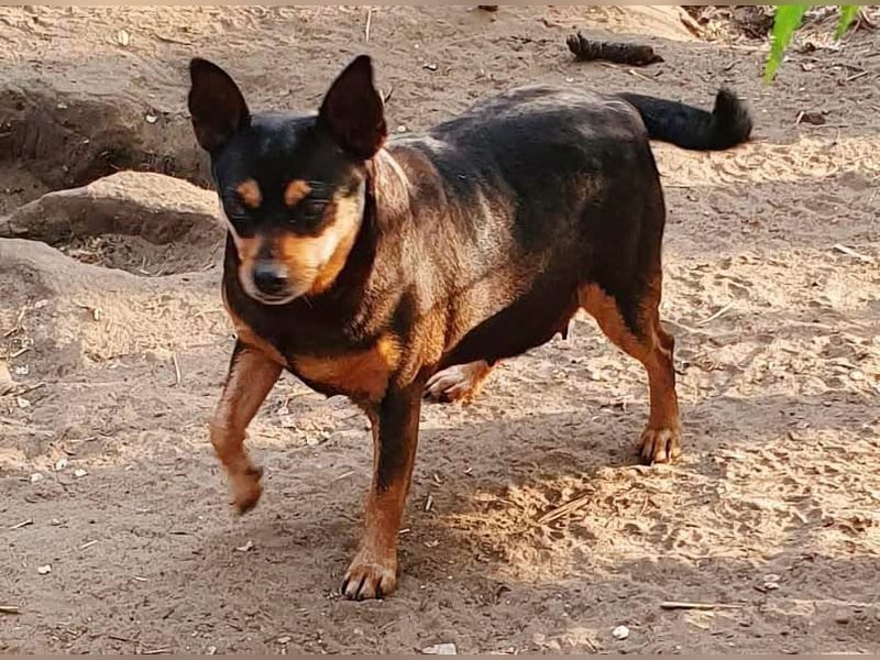  PEGGI – Kleine Lady mit großem Herz