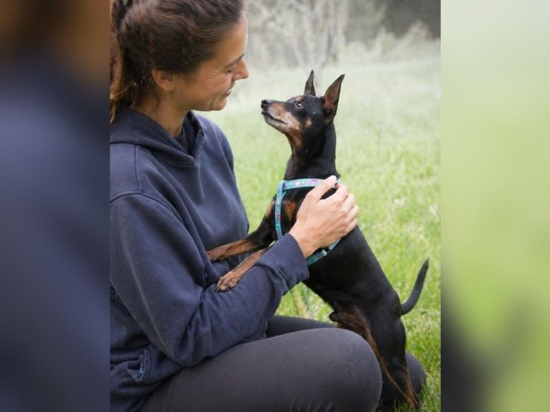 Lucio - ein freundlicher Begleiter