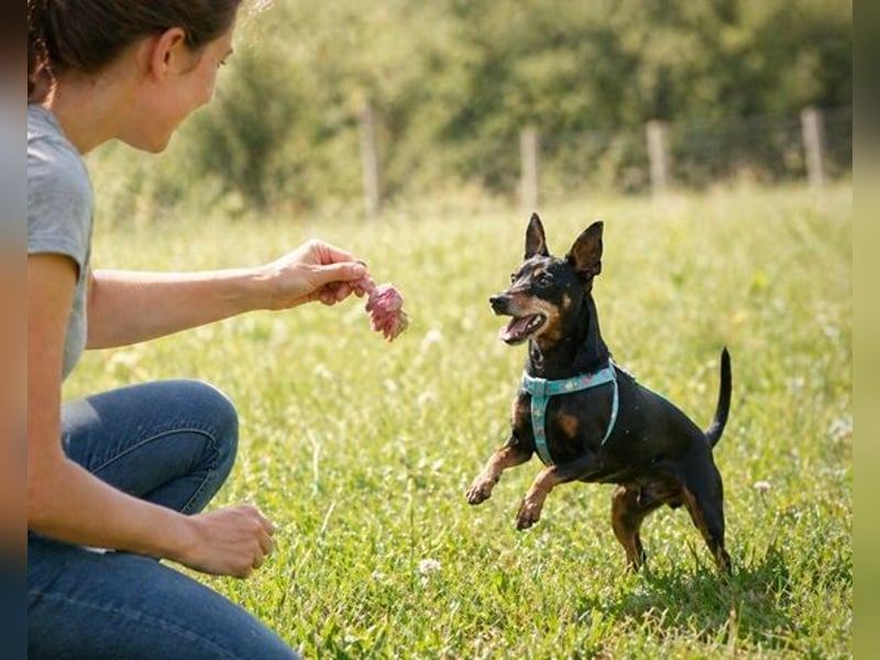 Lucio - ein freundlicher Begleiter