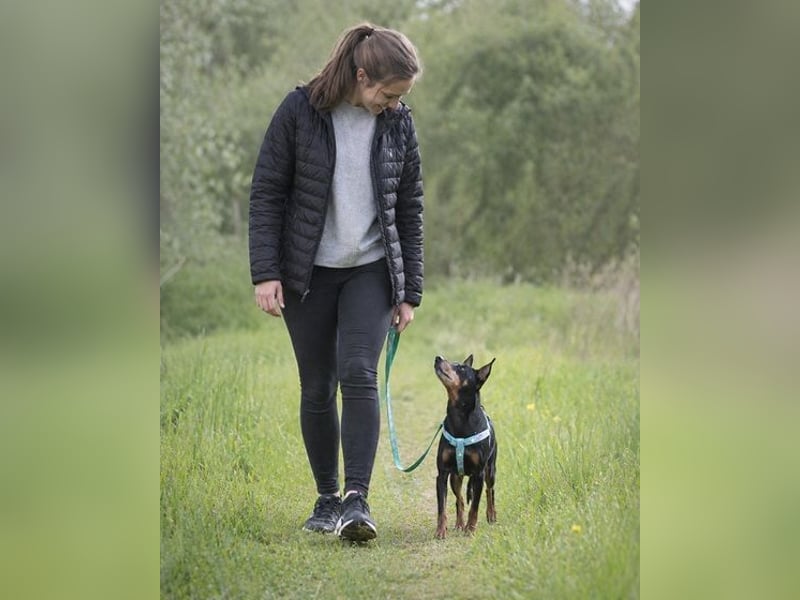 Lucio - ein freundlicher Begleiter