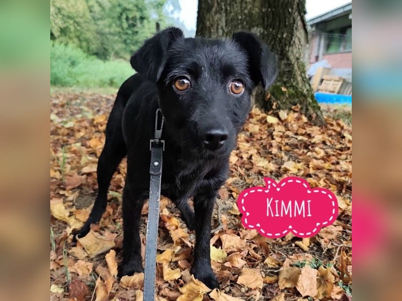 Kimmy möchte nur geliebt werden