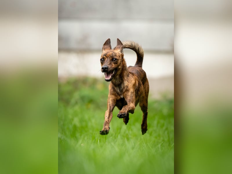 Darf Lio mit Ihnen auf große Abenteuer gehen?